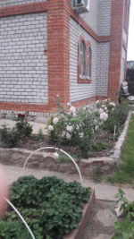 Снимок экрана (66).png