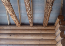 Снимок экрана (101).png