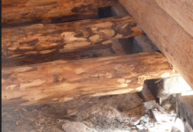 Снимок экрана (100).png