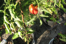 Снимок экрана (132).png