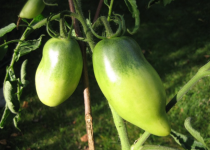 Снимок экрана (131).png