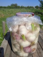 IMG_25679.jpg IMG_25679.jpg