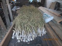 IMG_0854.jpg IMG_0854.jpg