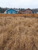 image_wa23992392.jpg image_wa23992392.jpg