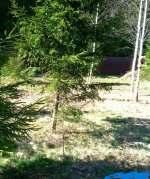 image (15450).jpg image (15450).jpg