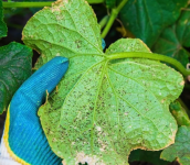 1766580090167.png 1766580090167.png