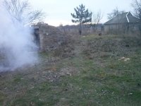 погреб елка.JPG