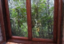 окно 3 зебра.jpg