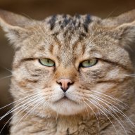 СоседкаТамара