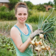 ВишнявЦветов